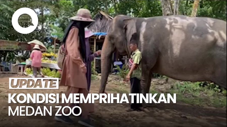 Menparekraf Ingatkan Jangan Sampai Satwa di Medan Zoo Mati Karena Kurang Pakan
