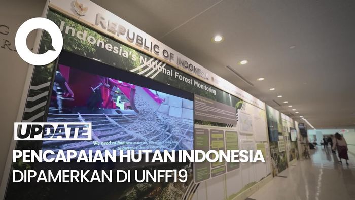 Ketika Pencapaian Hutan Indonesia Dipamerkan di UNFF19