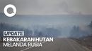Kebakaran Hutan Merembet ke Rumah Warga di Rusia, 15 Bangunan Rusak