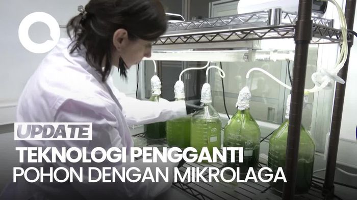 Ilmuwan Ciptakan Teknologi Penghilang CO2, 50 Kali Lebih Efisien dari Pohon