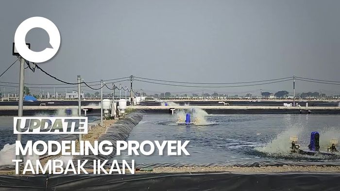  Jokowi Resmikan Tambak Ikan Nila Salin di Karawang