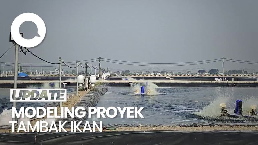  Jokowi Resmikan Tambak Ikan Nila Salin di Karawang