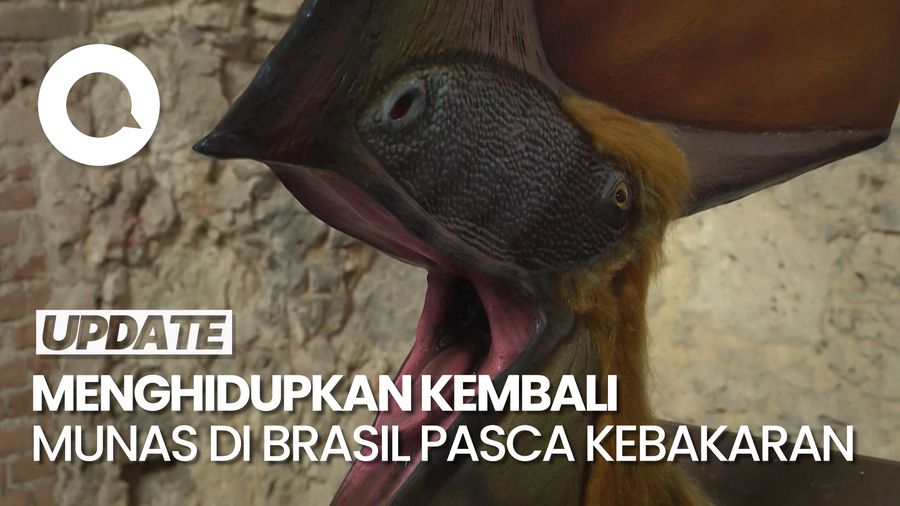 Museum Nasional di Brasil Terima 1.100 Fosil Pasca Kebakaran Hebat
