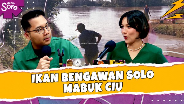 Ikan Bengawan Solo Mabuk Ciu