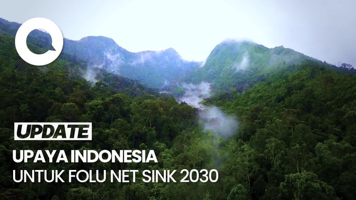 Upaya Keras Indonesia untuk FOLU NET SINK 2030