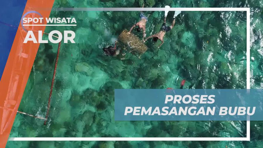 Pemasangan Bubu di Kedalaman 3 Hingga 5 Meter, Alor