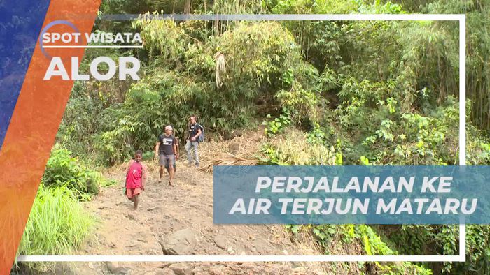 Melewati Hutan Menuju Air Terjun Mataru Alor