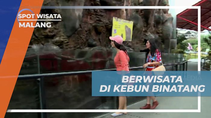 Berwisata Asik Melihat Aneka Satwa di Kebun Binatang Kota Malang