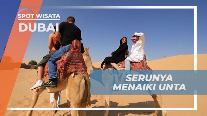 Momen Seru Naik Unta Menyusuri Padang Pasir Dubai