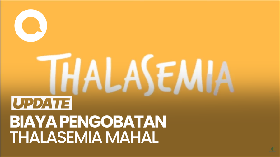 IDAI: Pengobatan Thalasemia Memakan Biaya Terbesar, Bisa Habiskan Rp 1 T