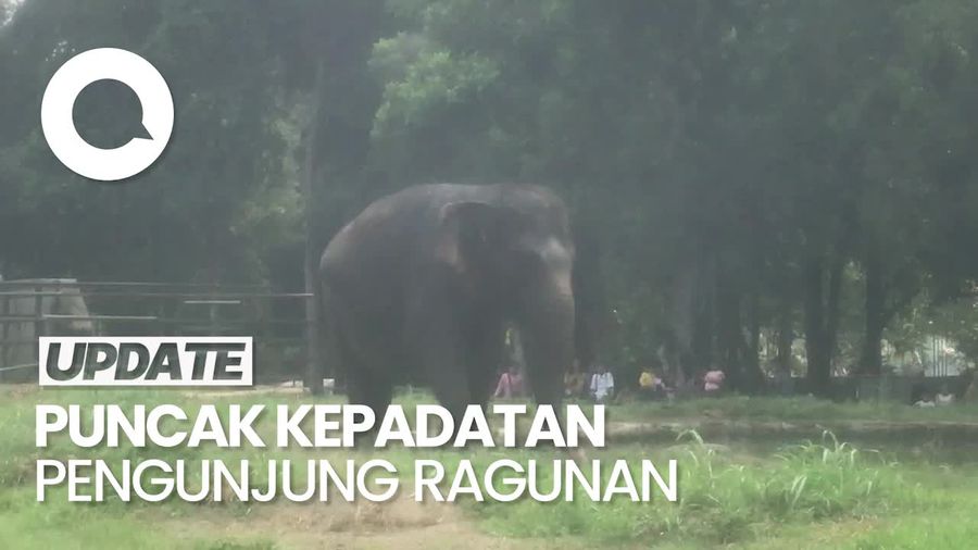 Prediksi Puncak Kepadatan Pengunjung Ragunan di Libur Long Weekend