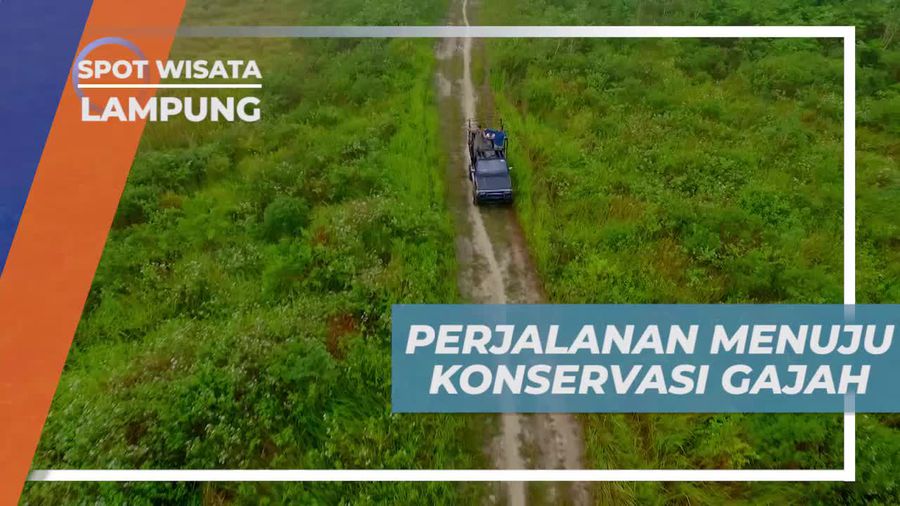 Naik Mobil Menuju Tempat Konservasi Gajah di Lampung