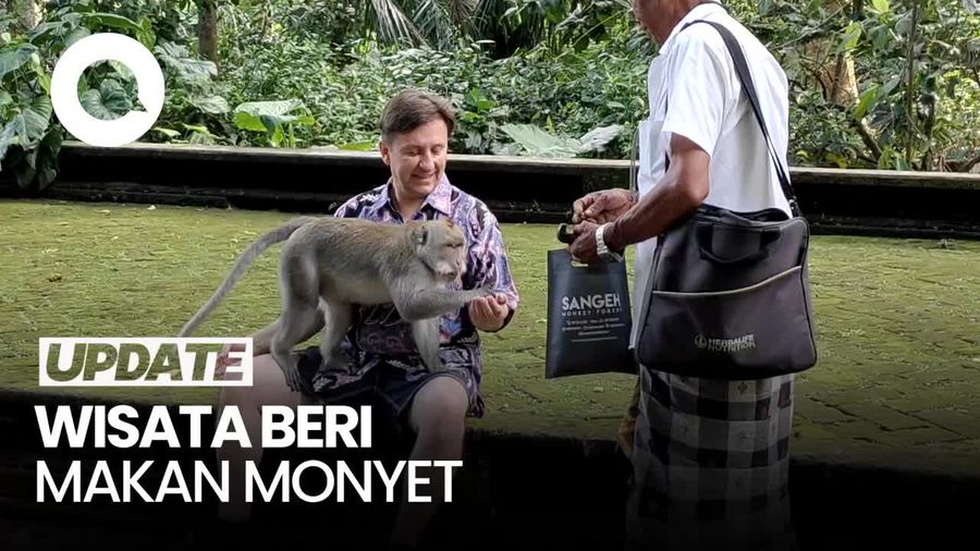 Sangeh Monkey Diserbu Turis Domestik saat Long Weekend