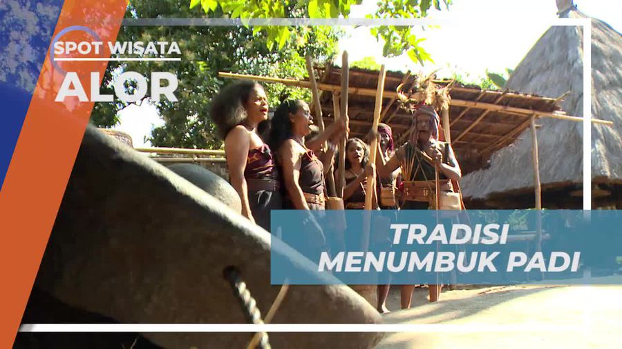 Menumbuk Padi, Tradisi Mengikuti Ritme Dari Lesung, Kampung Adat Latifui Alor