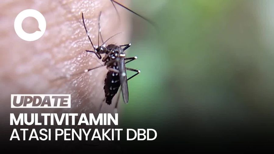 Deretan Multivitamin yang Baik Untuk Atasi Penyakit Demam Berdarah