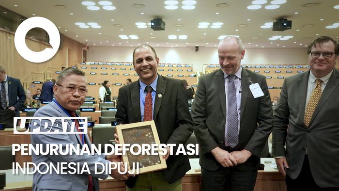 Penurunan Laju Deforestasi Indonesia Dipuji oleh Akademisi Universitas Maryland