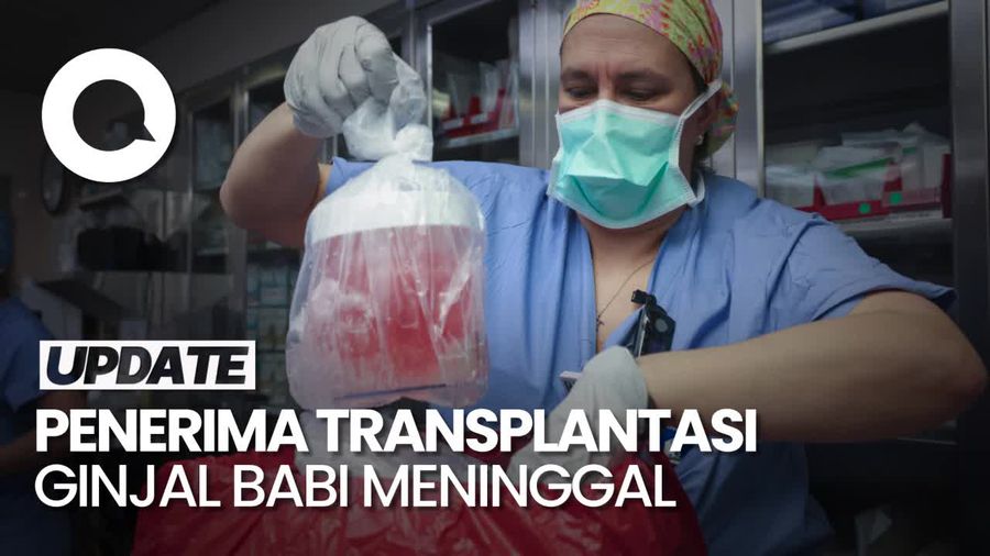 Pria Penerima Transplantasi Ginjal Babi Meninggal Dunia