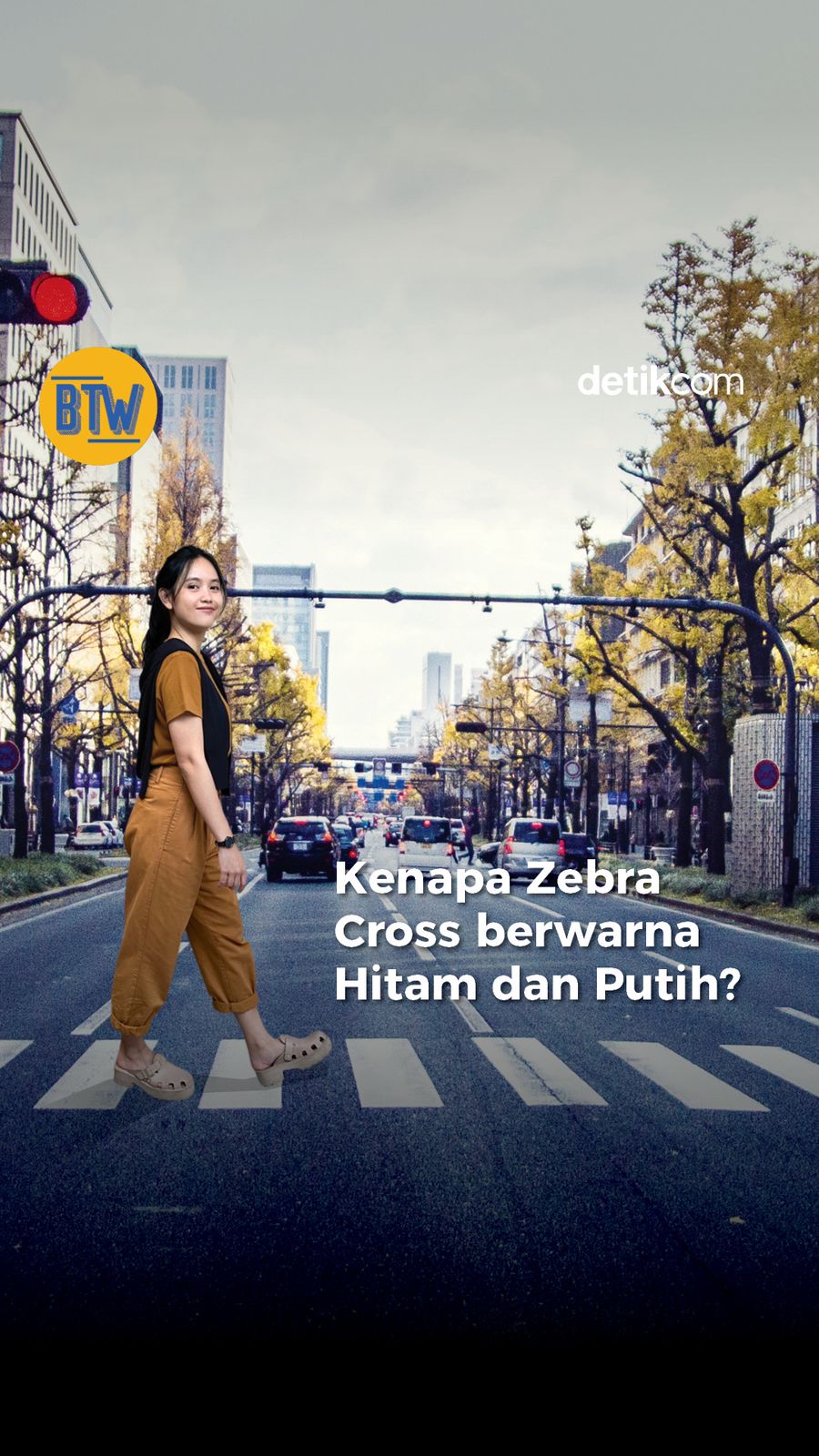 Sejarah Zebra Cross