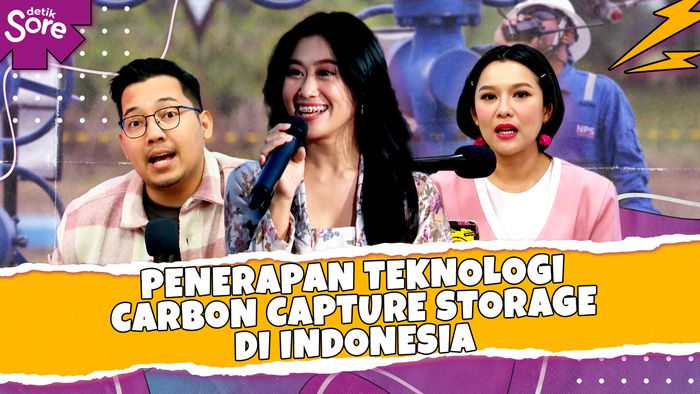 Penerapan Teknologi Carbon Capture Storage di Indonesia