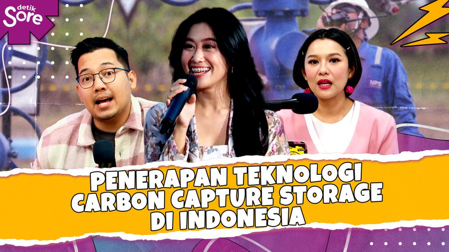 Penerapan Teknologi Carbon Capture Storage di Indonesia