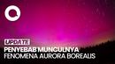 Melihat Keindahan Aurora Borealis di Langit Eropa hingga AS