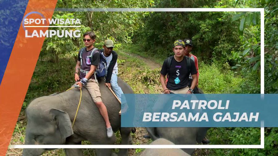 Keseruan Patroli Bersama Gajah, Lampung
