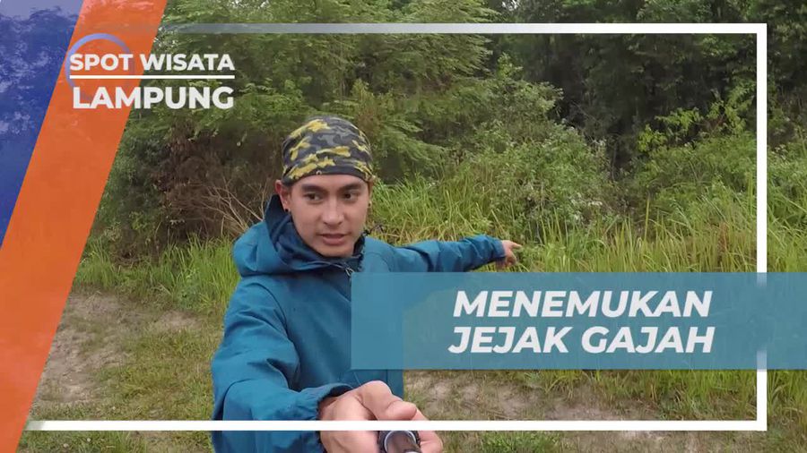 Menelusuri Jejak Gajah di Taman Nasional Way Kambas Lampung