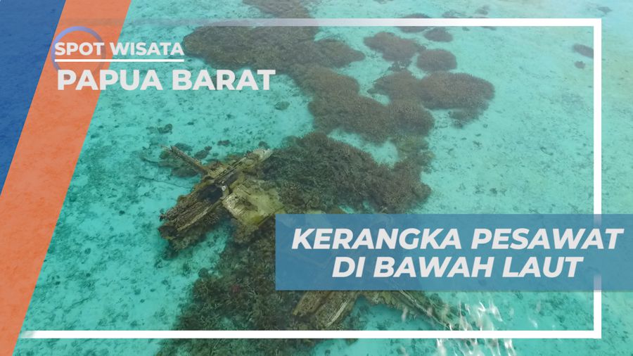 Mengeksplorasi Kerangka Pesawat Peninggalan Perang Dunia II di Bawah Laut Pulau Rouw, Papua Barat