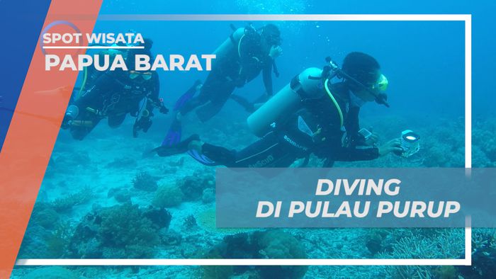 Berpetualang Menjelajahi Keindahan Bawah Laut Pulau Purup yang Mempesona, Papua Barat