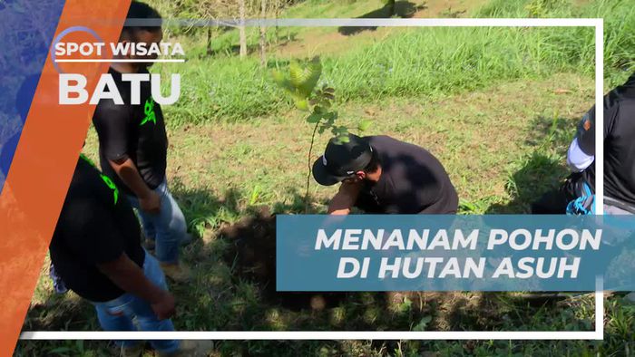Menjaga Ekosistem Dengan Menanam Pohon di Hutan Asuh Kota Batu