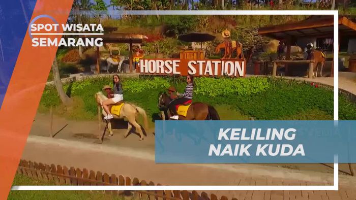 Momen Seru Berkeliling Kawasan Wisata Dengan Naik Kuda, Semarang