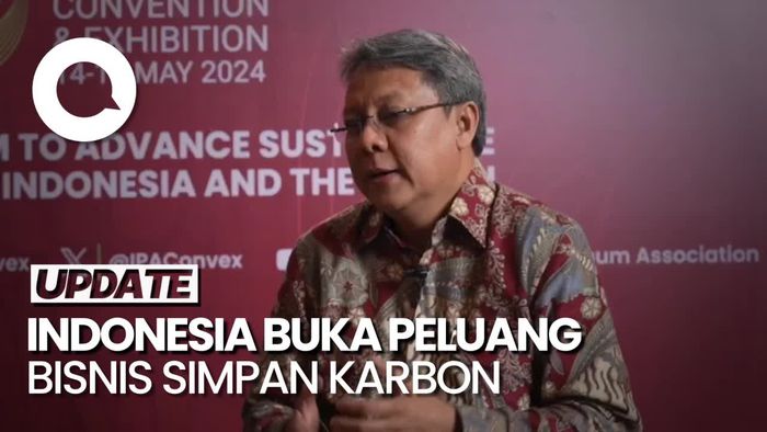 Singapura Hingga Korsel Tertarik Investasi Simpan Karbon Indonesia
