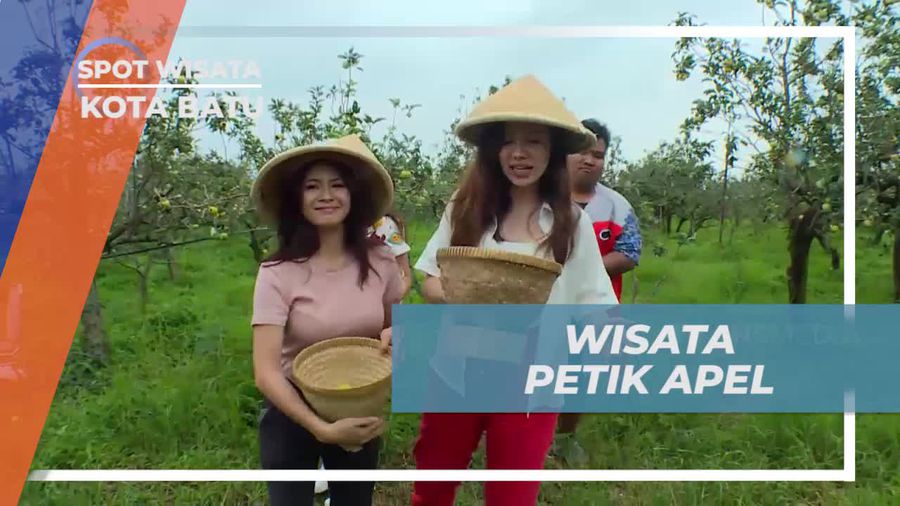 Melihat Buah Tumbuh Subur di Agrowisata Kota Batu