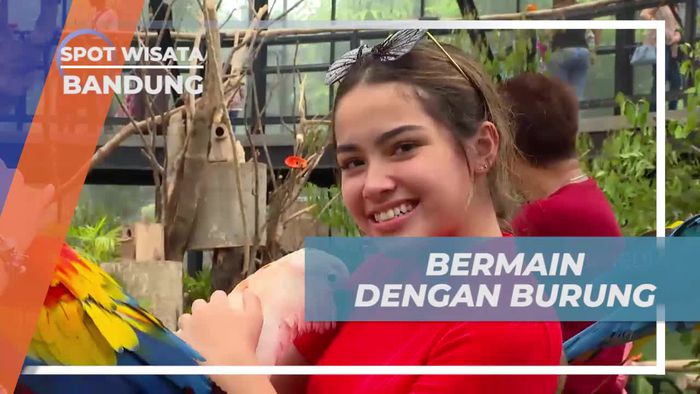 Seru-seruan Berinteraksi Dengan Burung di Kota Bandung