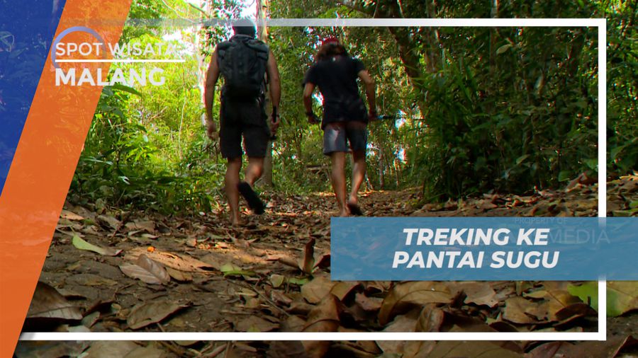 Menyusuri Jalan Setapak Menembus Hutan Menuju Pantai Sugu, Malang