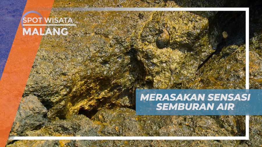 Menikmati Sensasi Semburan Air dari Celah karang Teluk Bidadari, Malang