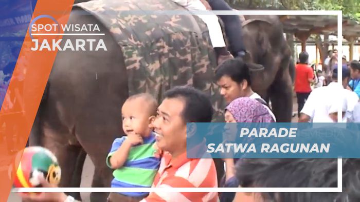 Mengisi Akhir Pekan Melihat Parade Satwa di Kebun Binatang Ragunan, Jakarta