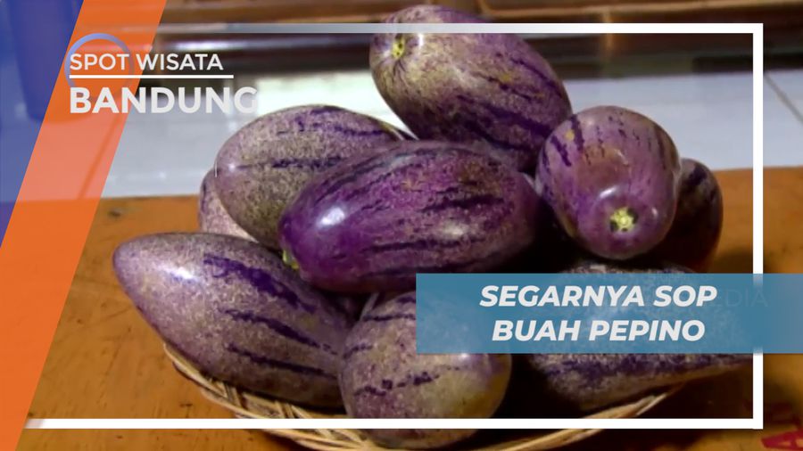 Meneguk Kesegaran Sop Buah pepino yang Kaya Manfaat, Bandung
