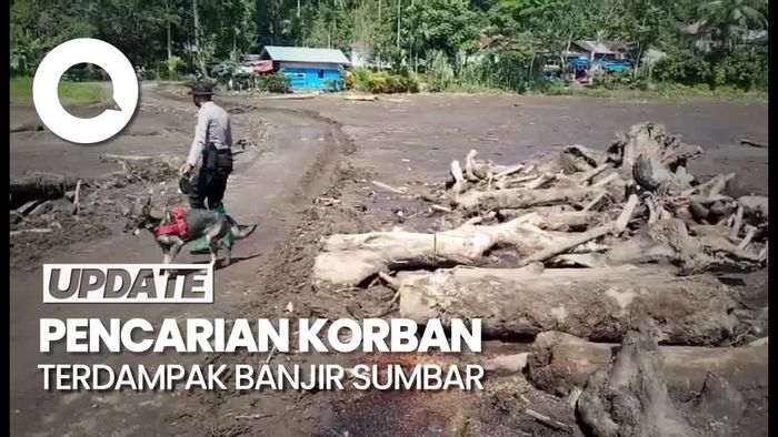 Tim SAR Terjunkan 4 Anjing Pelacak Cari Korban Banjir Bandang Sumbar