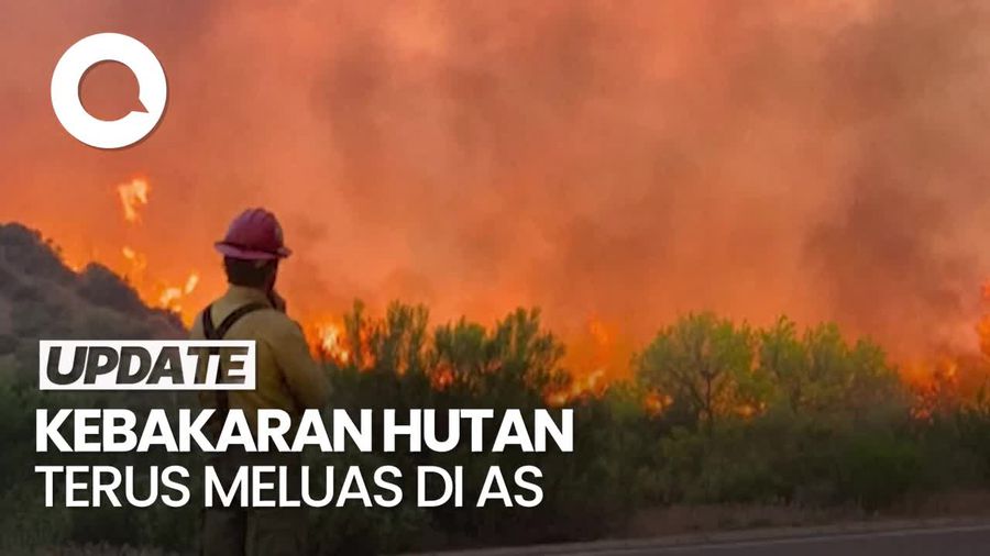 Kebakaran Hutan di Arizona Meluas, 200 Pemadam Dikerahkan