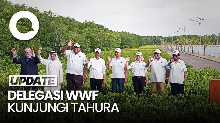 Momen Jokowi Ajak Delegasi WWF Tinjau Mangrove di Tahura Ngurah Rai