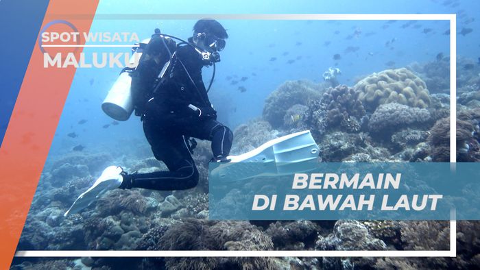 Seru-seruan Mengeksplor Keindahan Bawah Laut Banda Neira, Maluku
