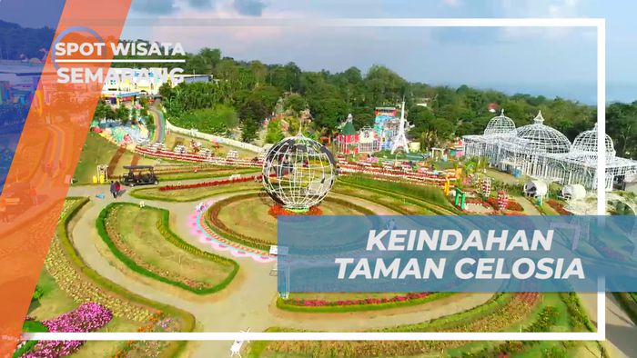 Berburu Spot Foto Instagramabel di Taman Bunga Celosia, Semarang 