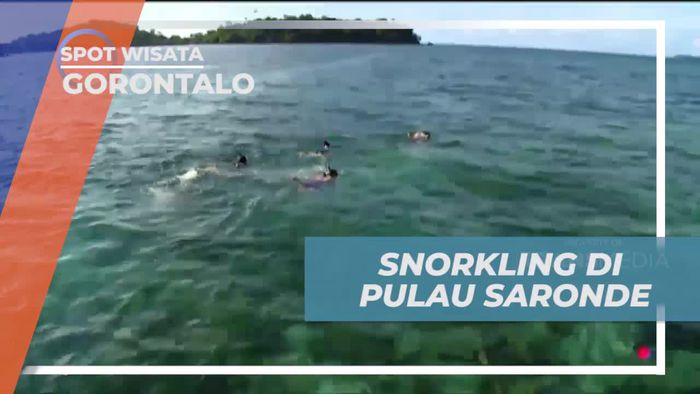 Persiapan Snorkeling Seru di Pulau Saronde Gorontalo