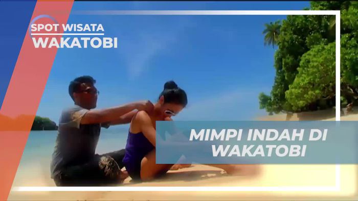 Dimanjakan Keindahan Alam Pantai Molii Sahatu Wakatobi