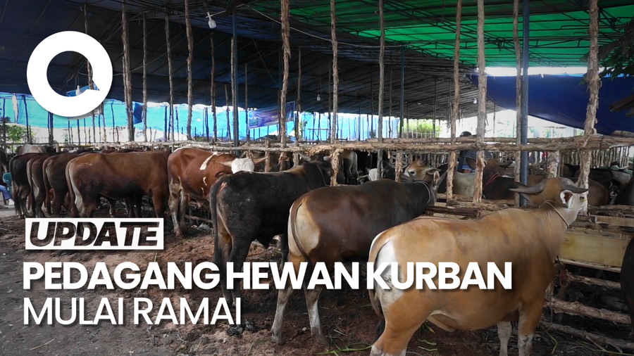 Cerita Pedagang Hewan Kurban di Palembang Kebanjiran Order Jelang Idul Adha