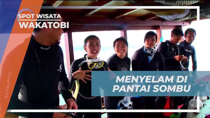 Diving Menikmati Keindahan Bawah Laut Pantai Sombu Wakatobi