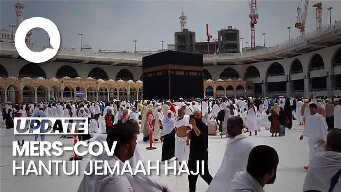Kemenkes Imbau Jemaah Haji Hindari Kontak dengan Unta gegara MERS-CoV