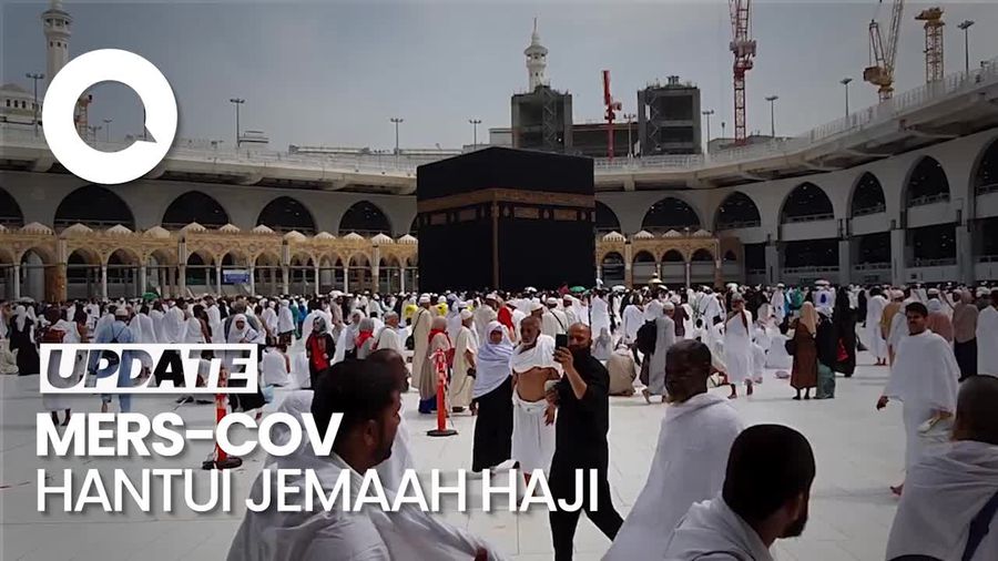 Kemenkes Imbau Jemaah Haji Hindari Kontak dengan Unta gegara MERS-CoV