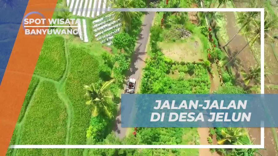 Jalan-jalan Seru di Desa Jelun Banyuwangi